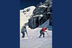 Searching for bodies